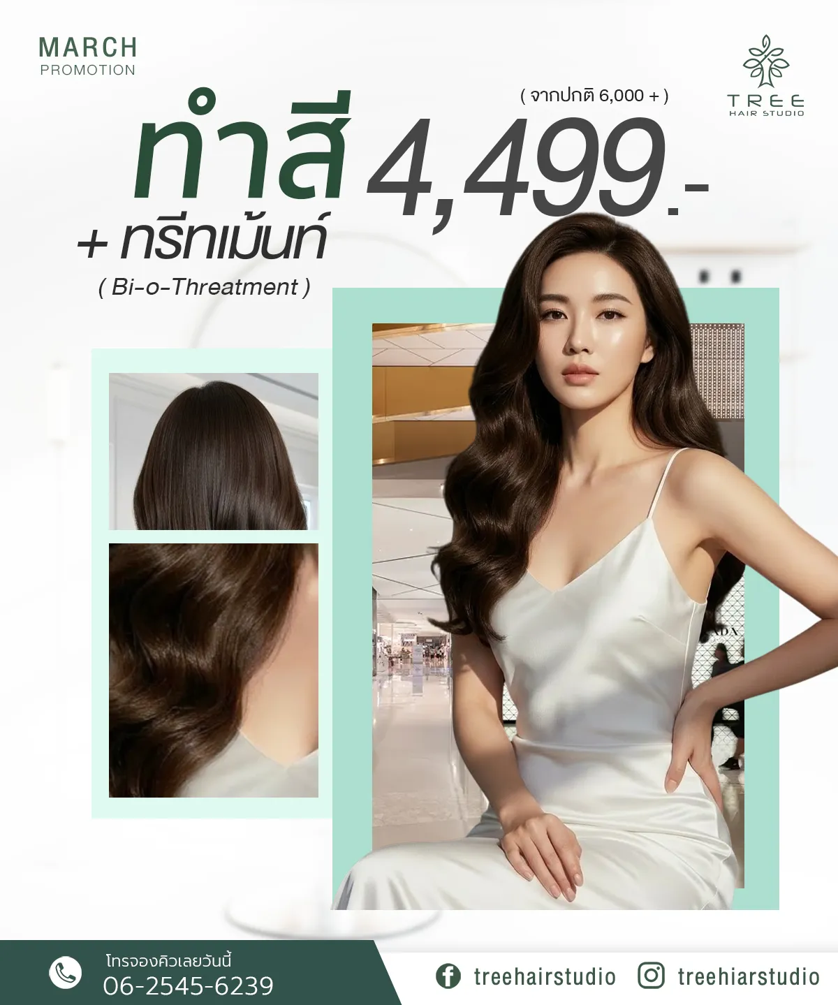 Treehair Studio
