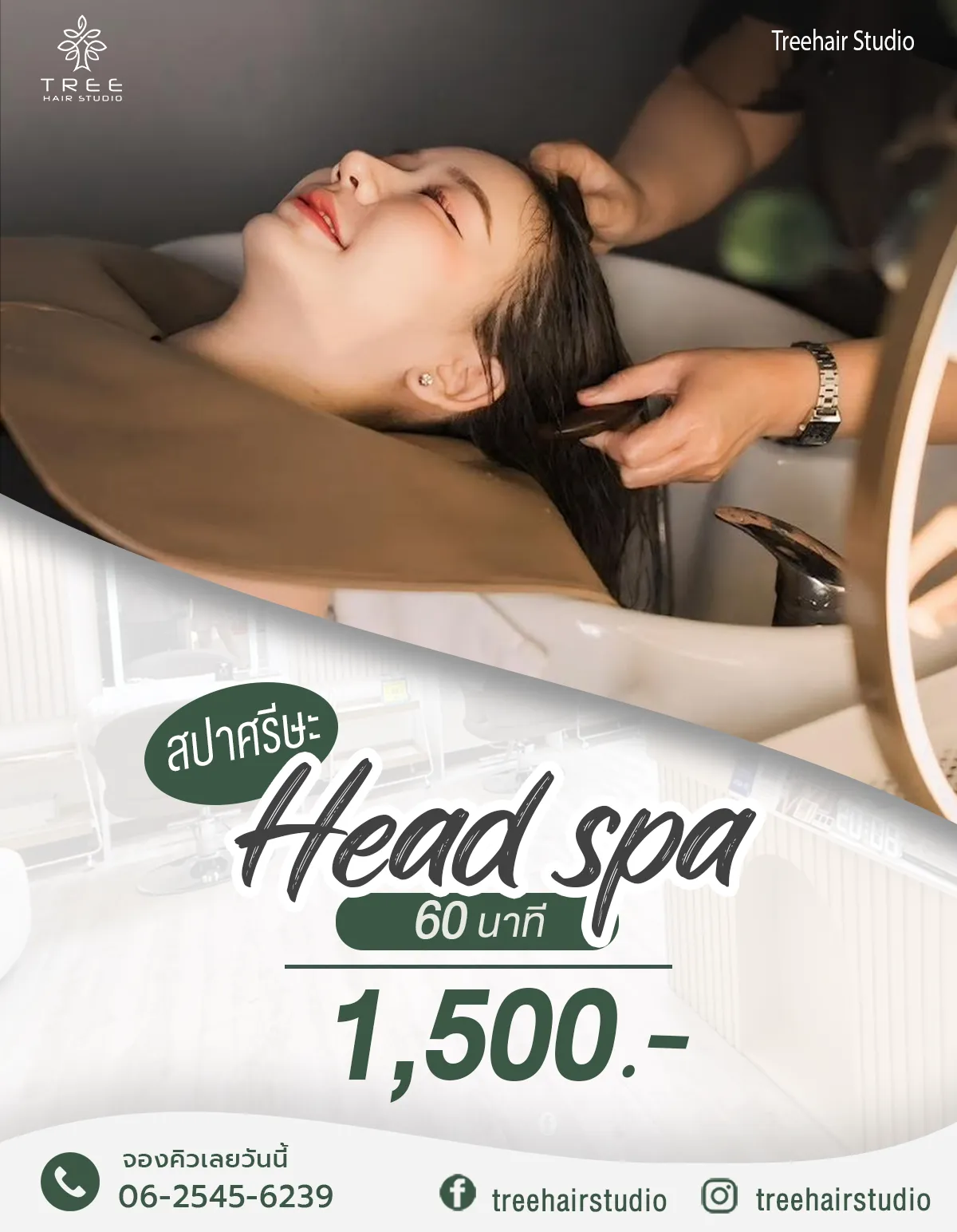 Treehair Studio